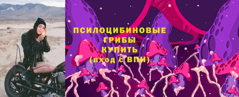 Галлюциногенные грибы Magic Shrooms  Костомукша 