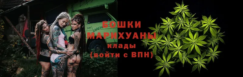 Каннабис Bruce Banner  мега сайт  Костомукша  как найти закладки 